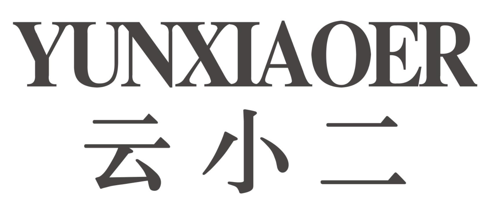 云小二YUNXIAOER