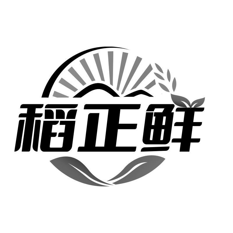稻正鲜
