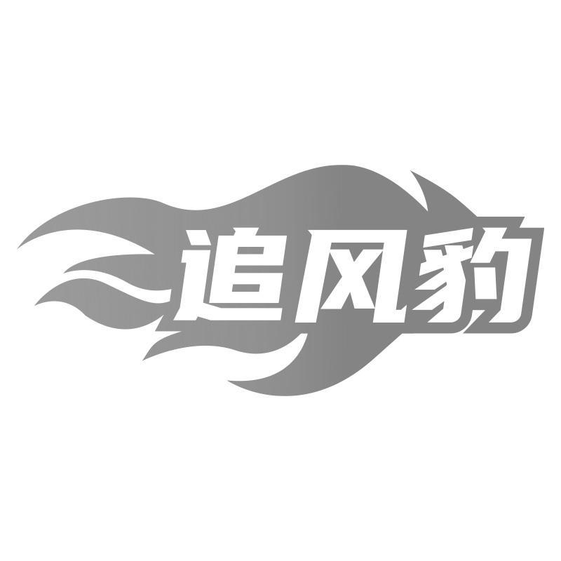 追风豹