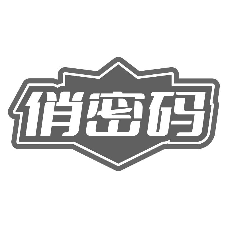 俏密码