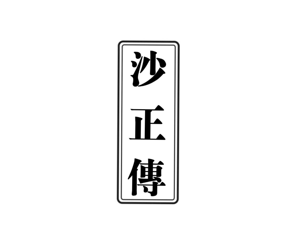 沙正传