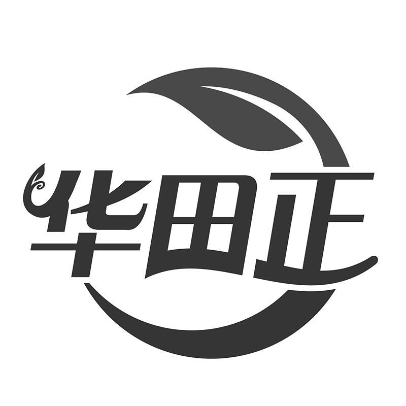 华田正