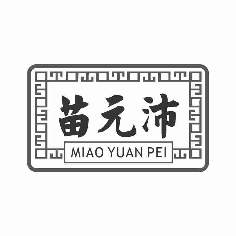 苗元沛MIAOYUANPEI