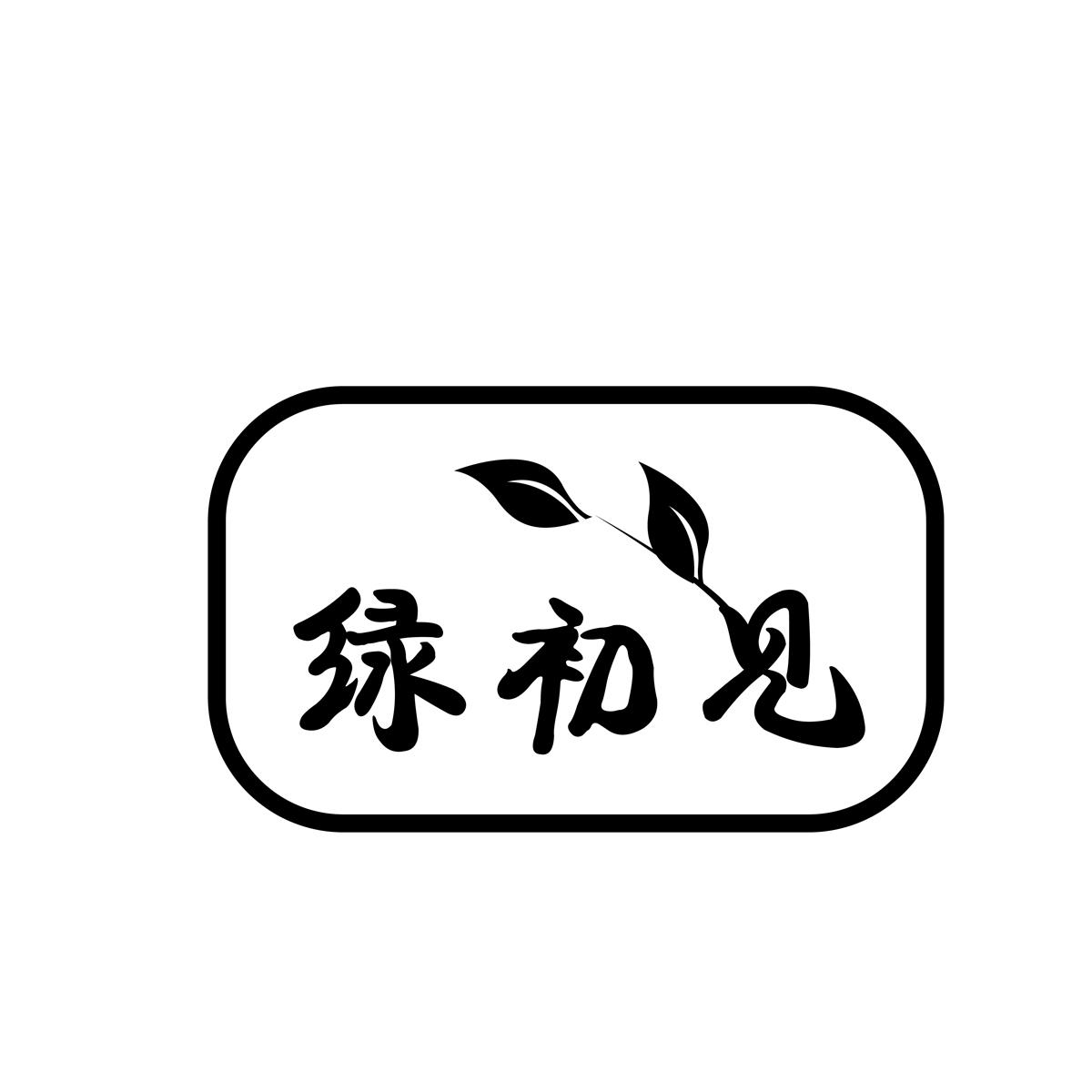 绿初见