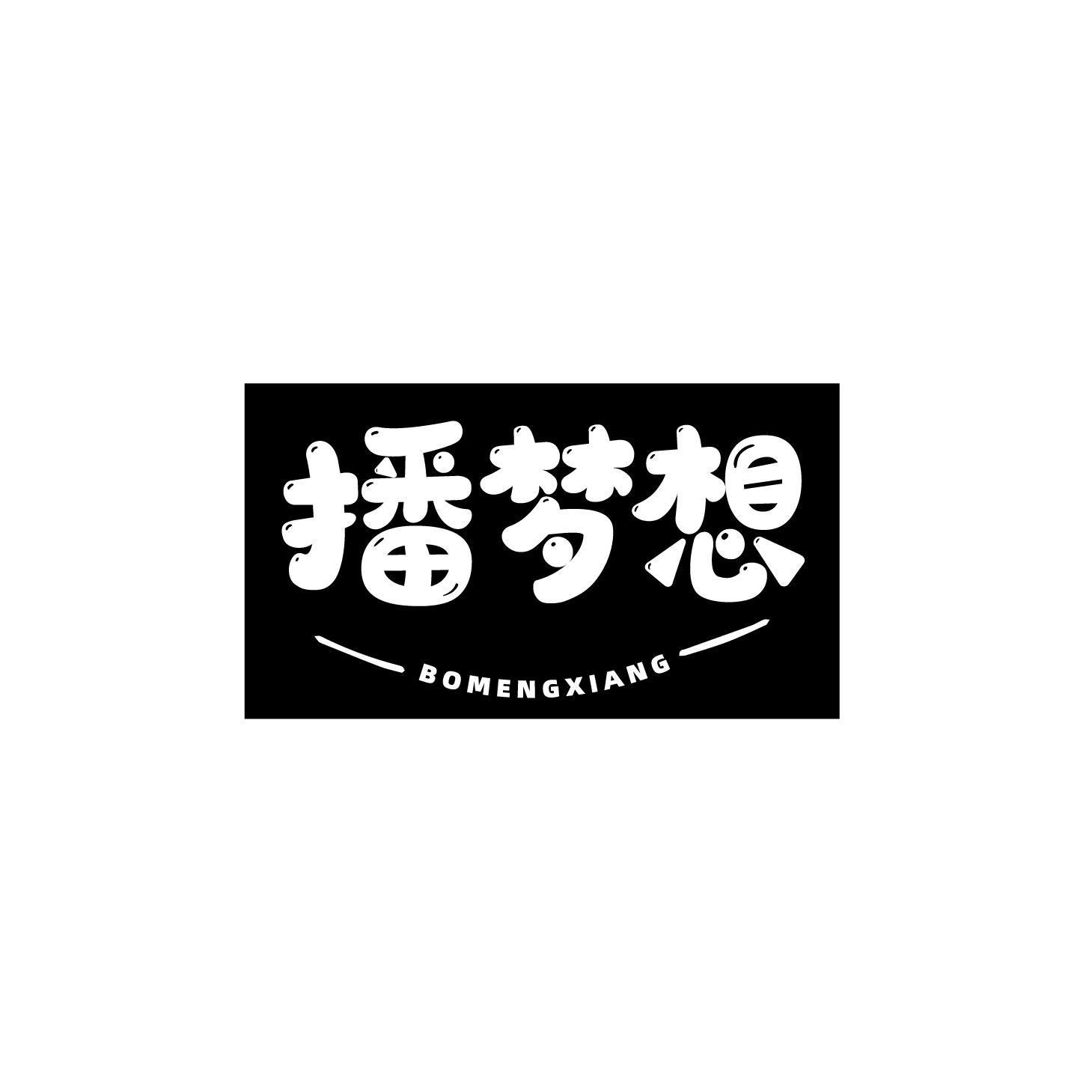 播梦想
