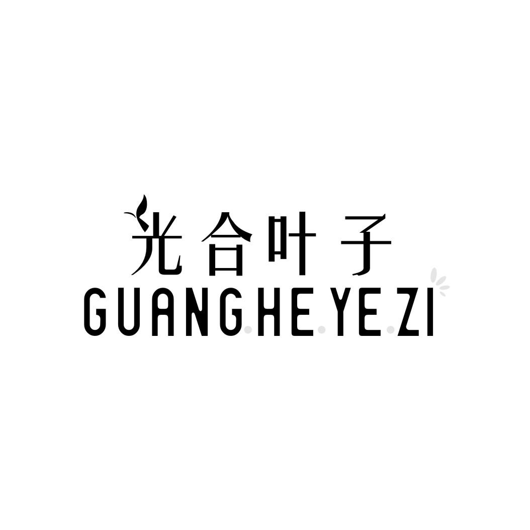 光合叶子
