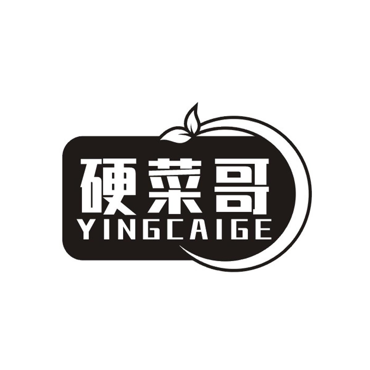 硬菜哥