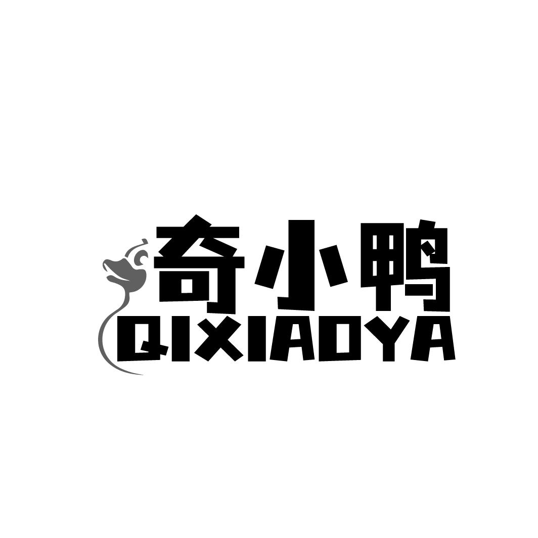 奇小鸭 QIXIAOYA
