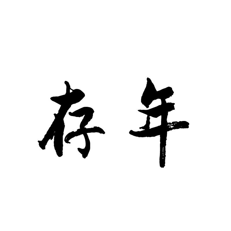  存年