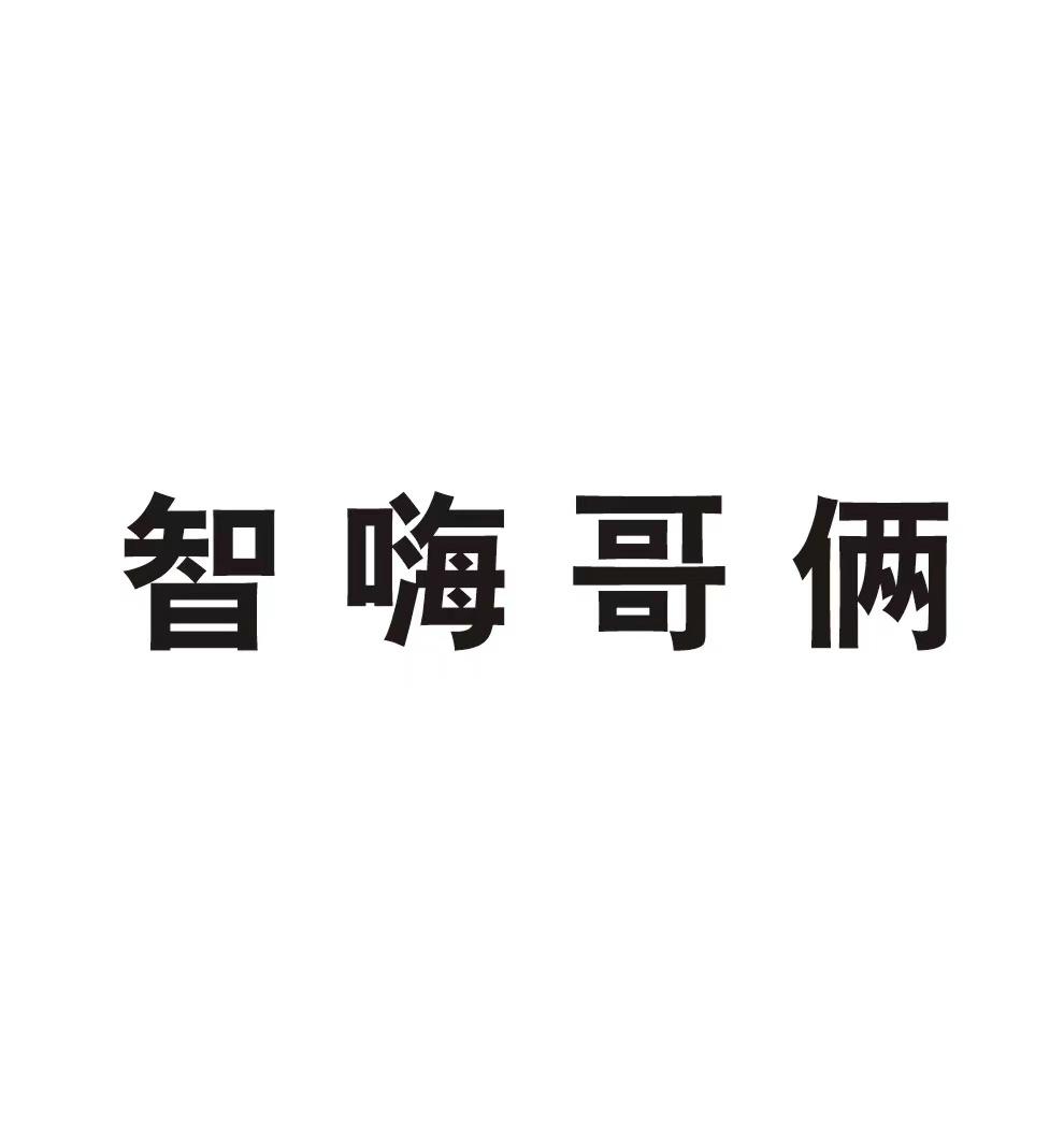 智嗨哥俩