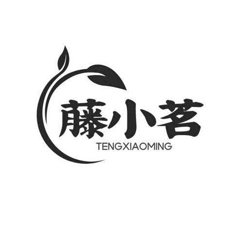 藤小茗