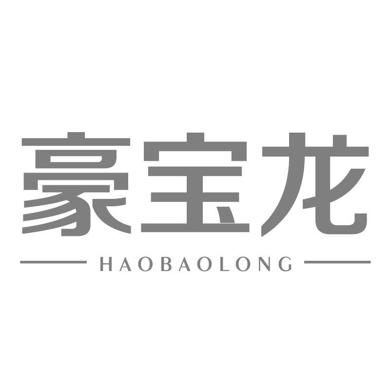 豪宝龙
