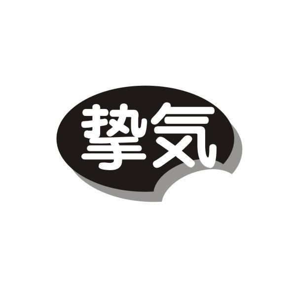 挚