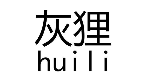 灰狸