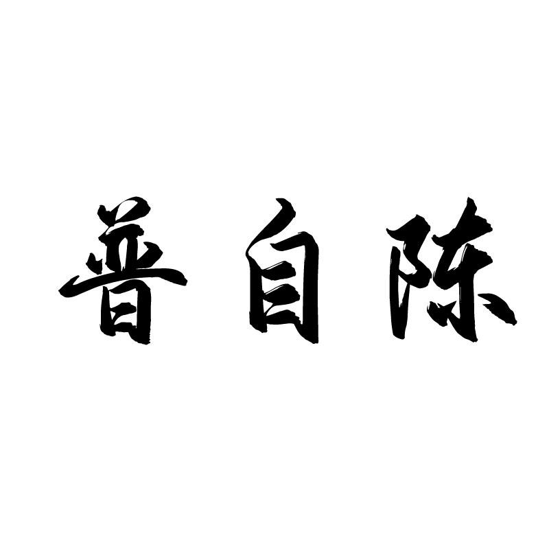 普自陈