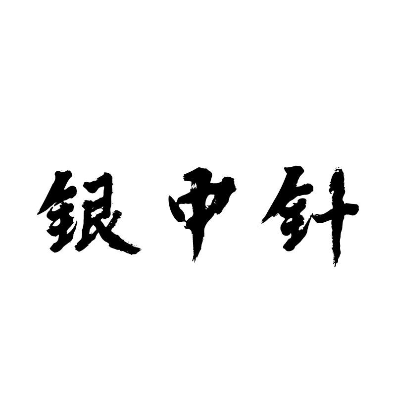 银中针