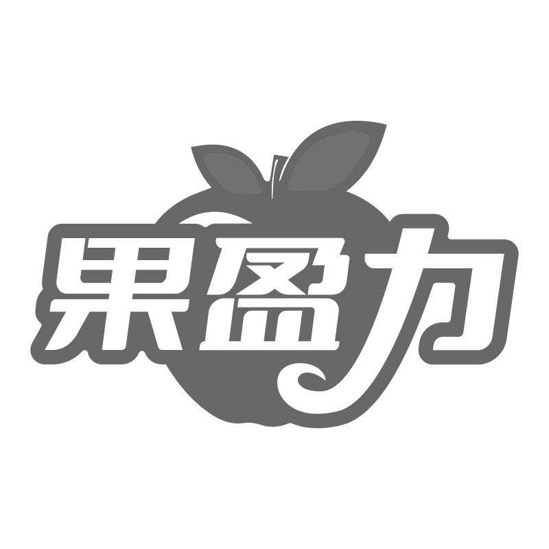 果盈力