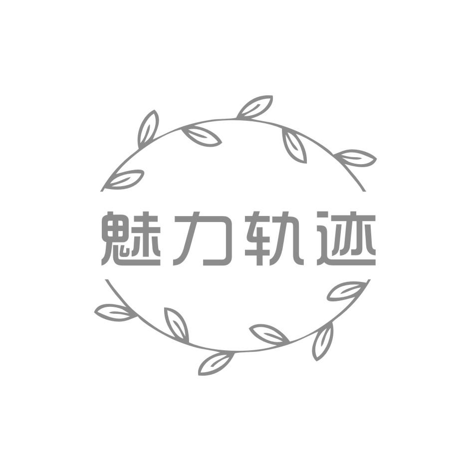 魅力轨迹