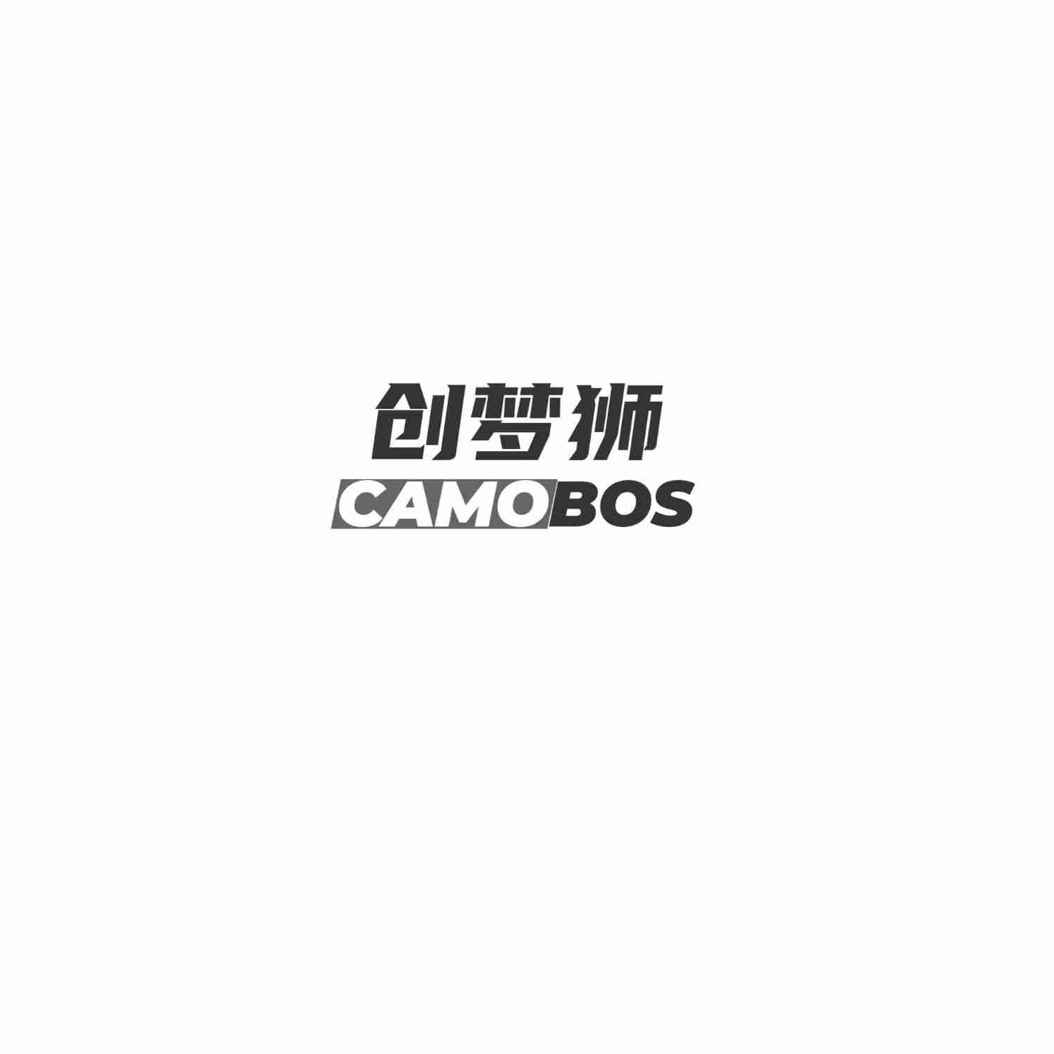 创梦狮 CAMOBOS