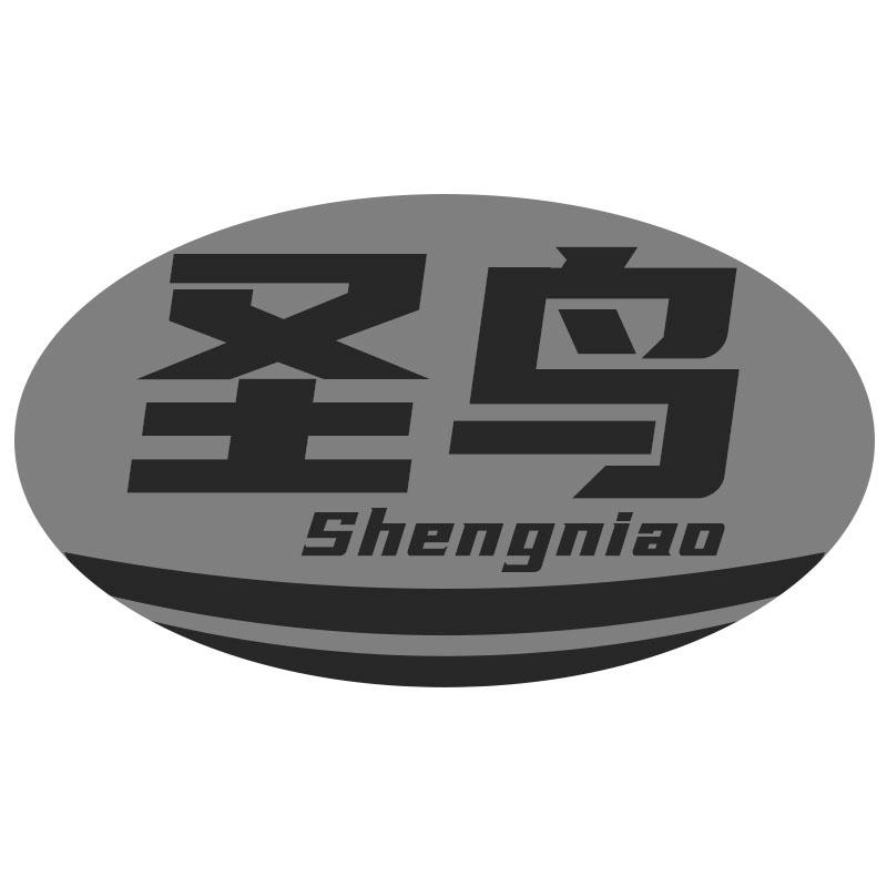 圣鸟