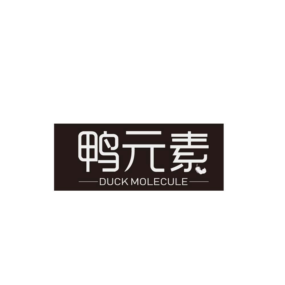 鸭元素