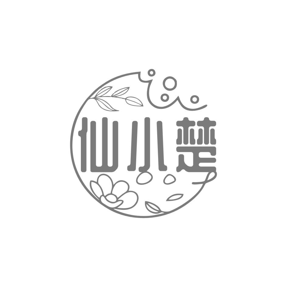 仙小楚
