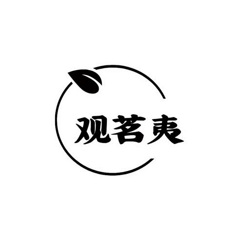 观茗夷