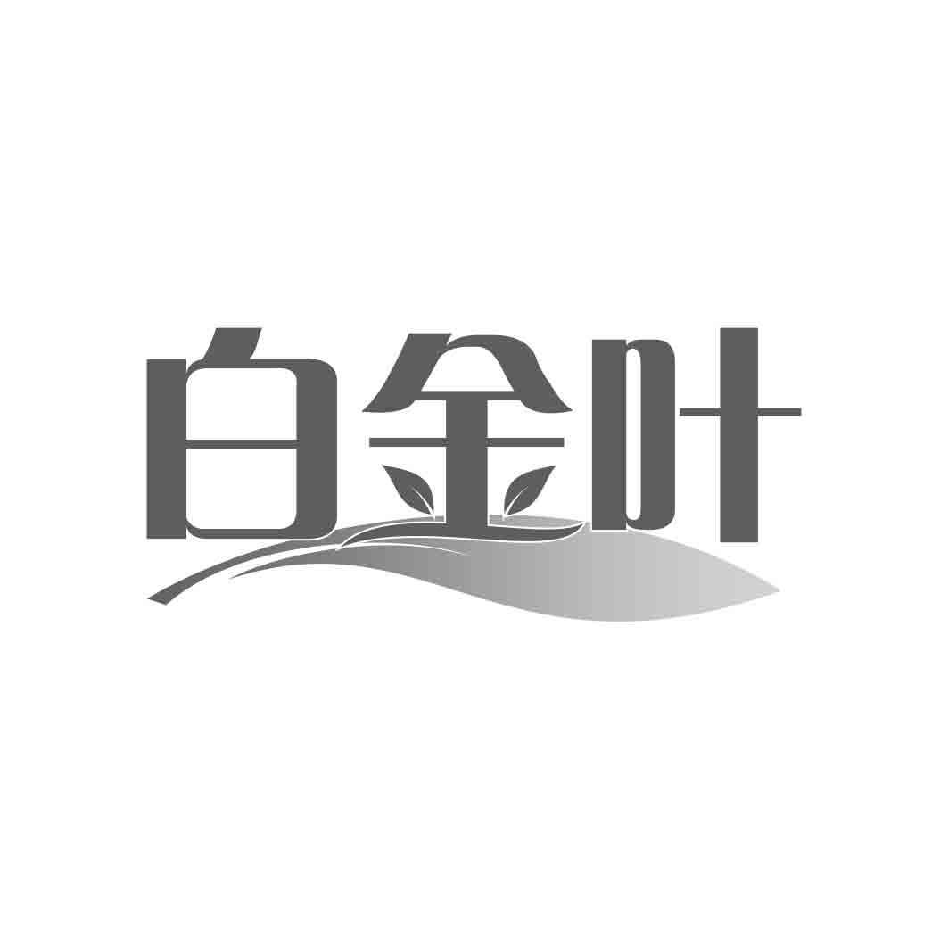   白金叶 