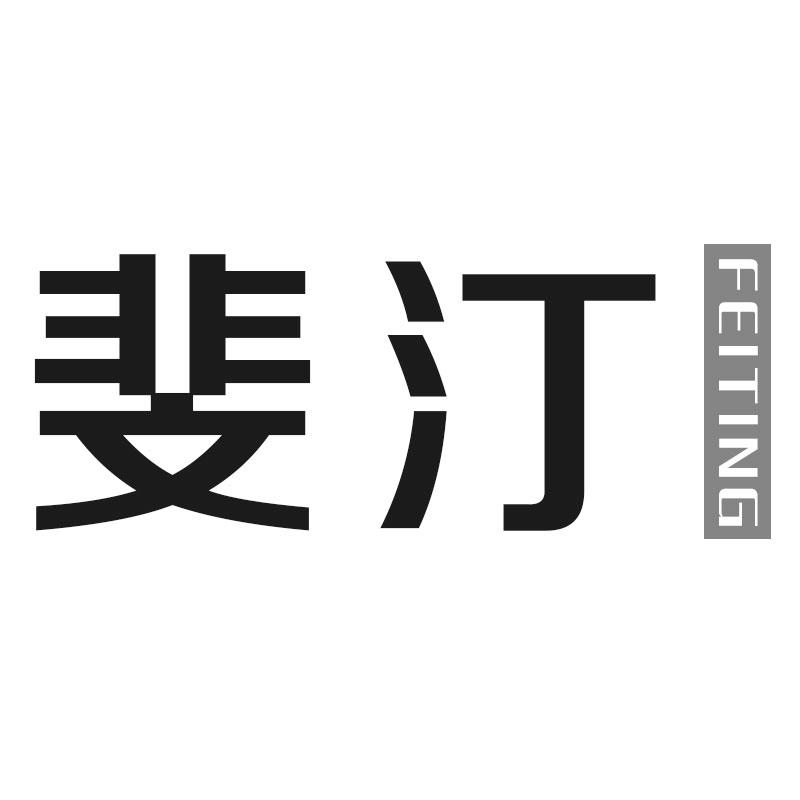 斐汀