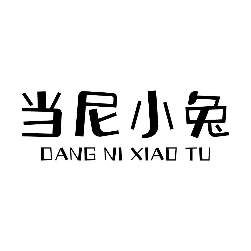 当尼小兔