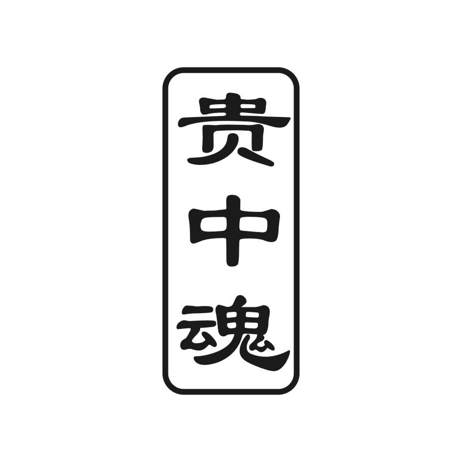 贵中魂