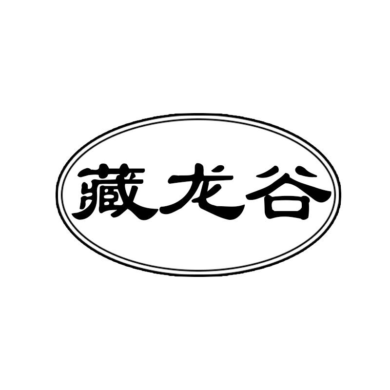 藏龙谷