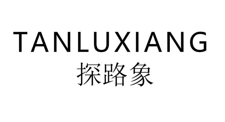 探路象