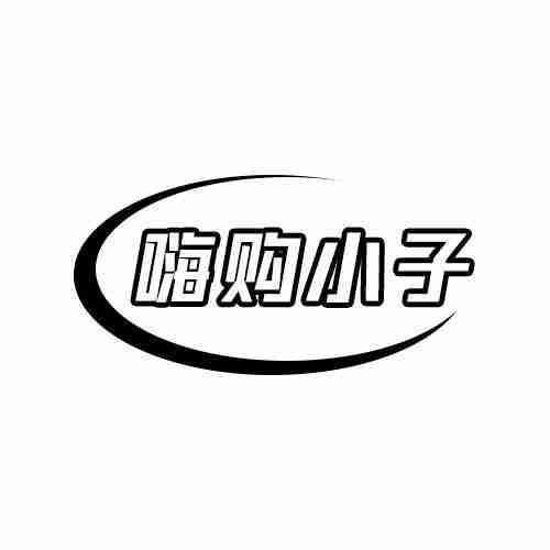  嗨购小子