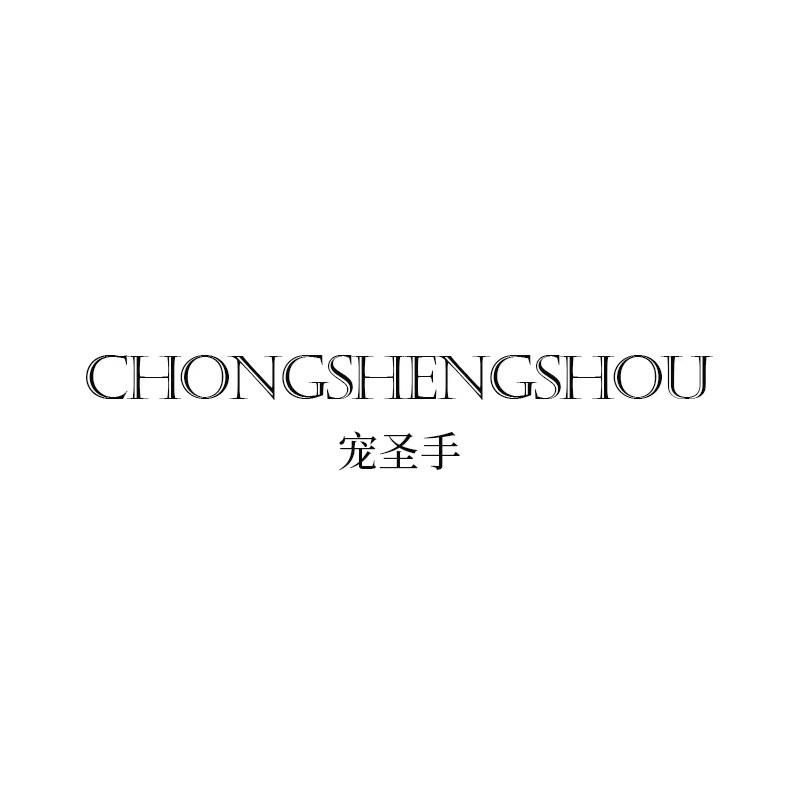 宠圣手