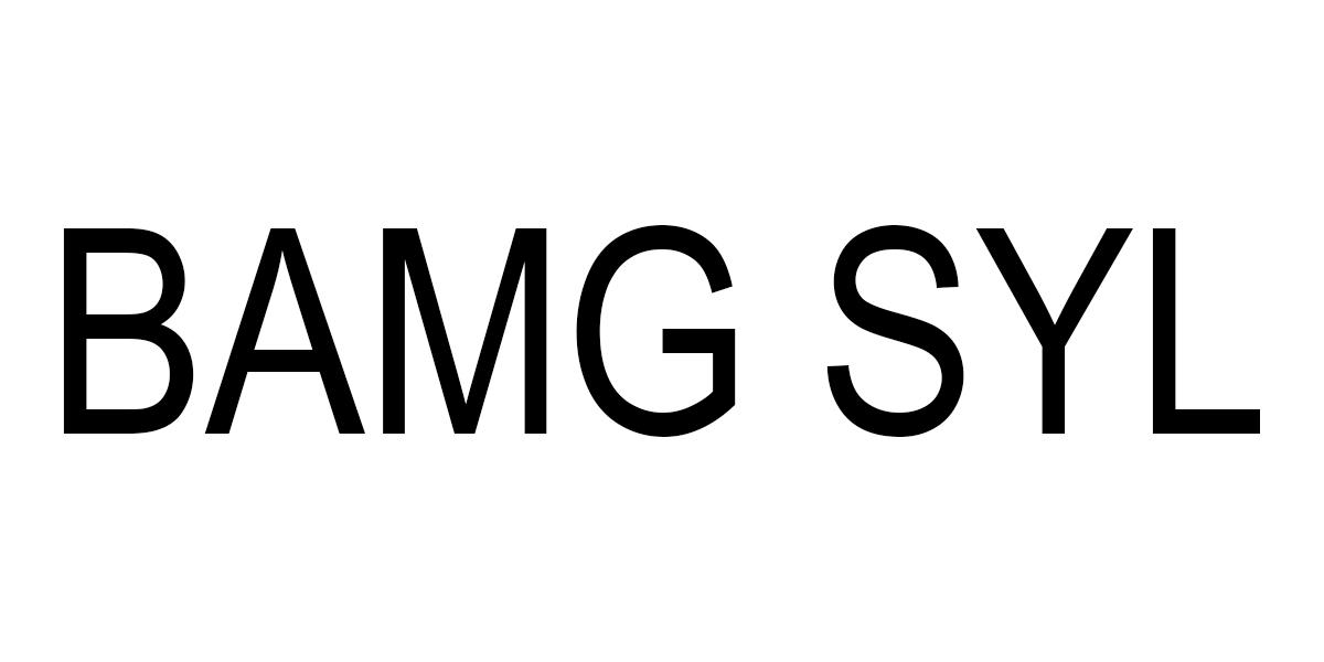 BAMG SYL