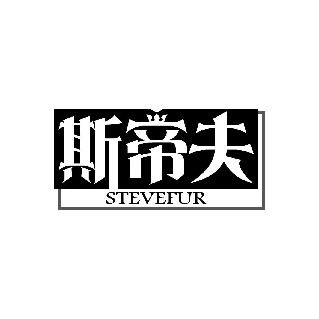 斯帝夫
STEVEFUR