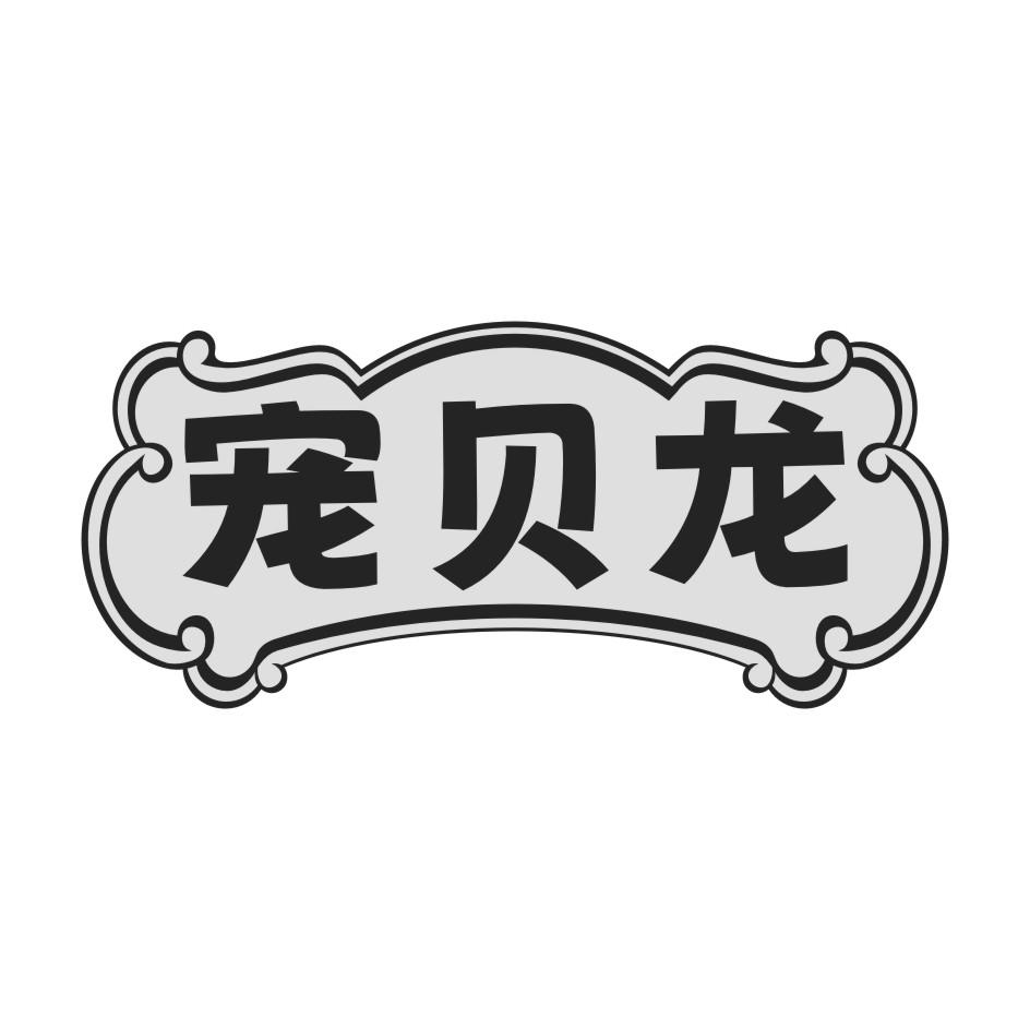 宠贝龙