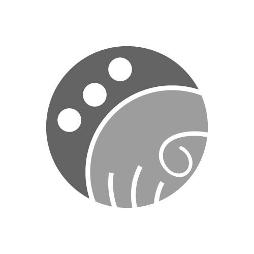 图形（昆虫）