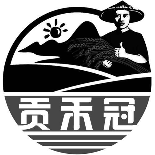 贡禾冠