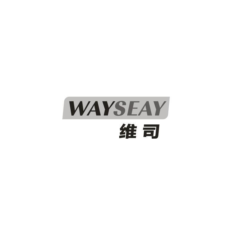 WAYSEAY 维司
