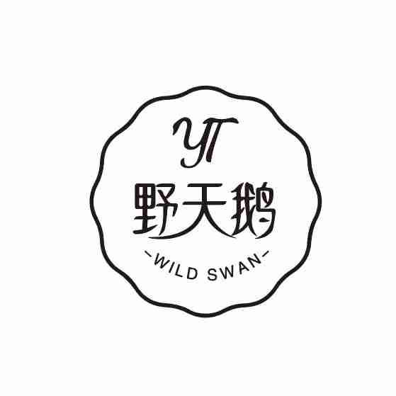 YT 野天鹅 WILD SWAN