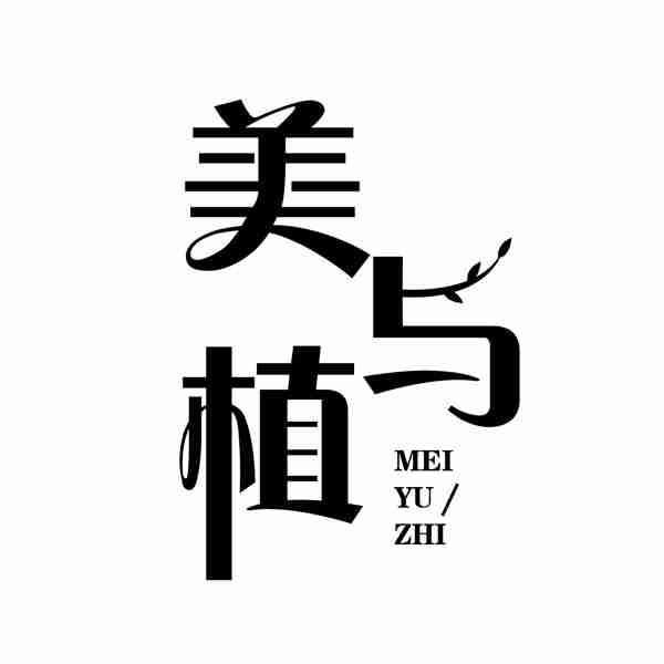美与植