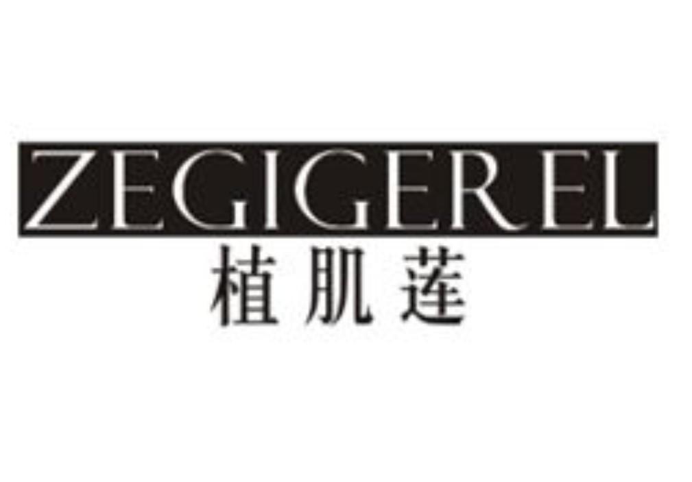 植肌莲ZEGIGEREL