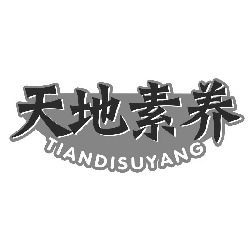 天地素养