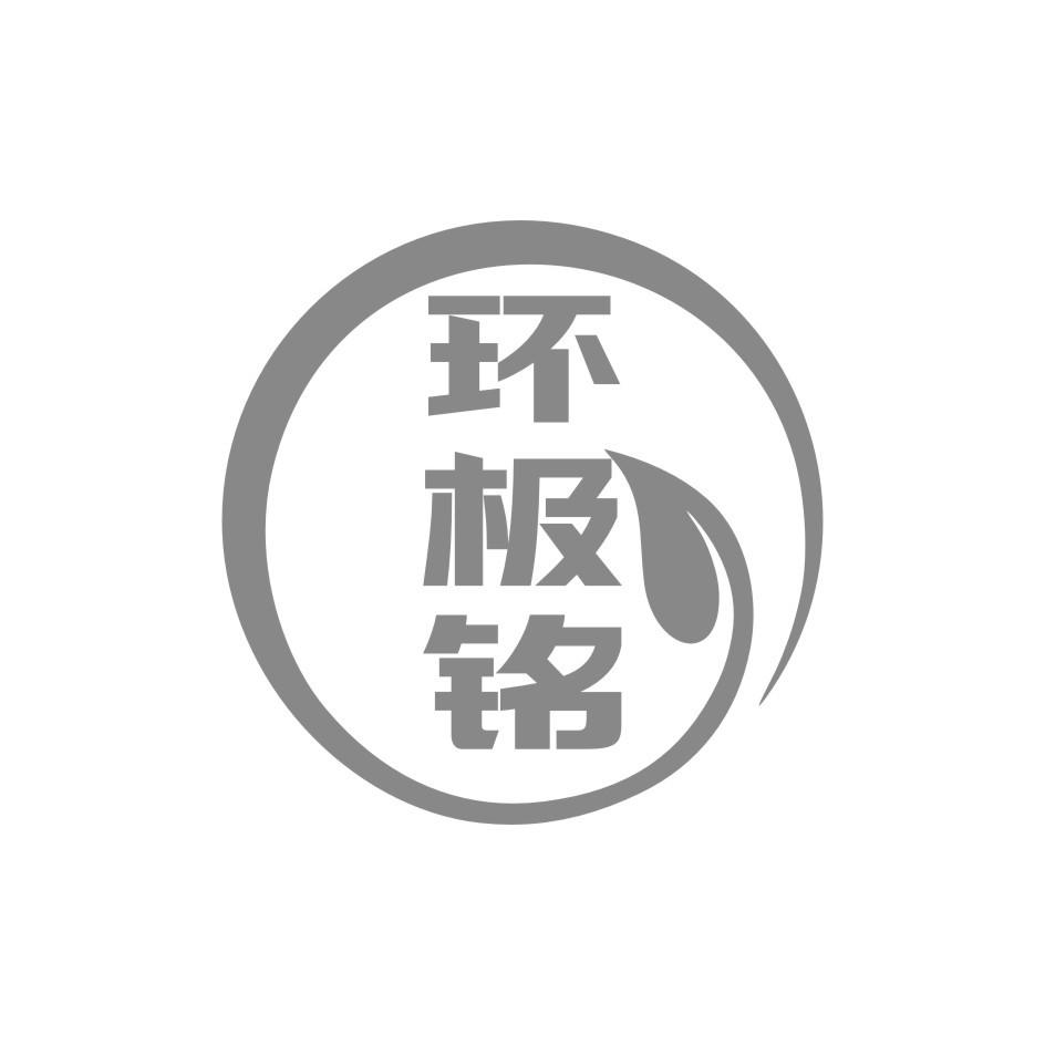 环极铭