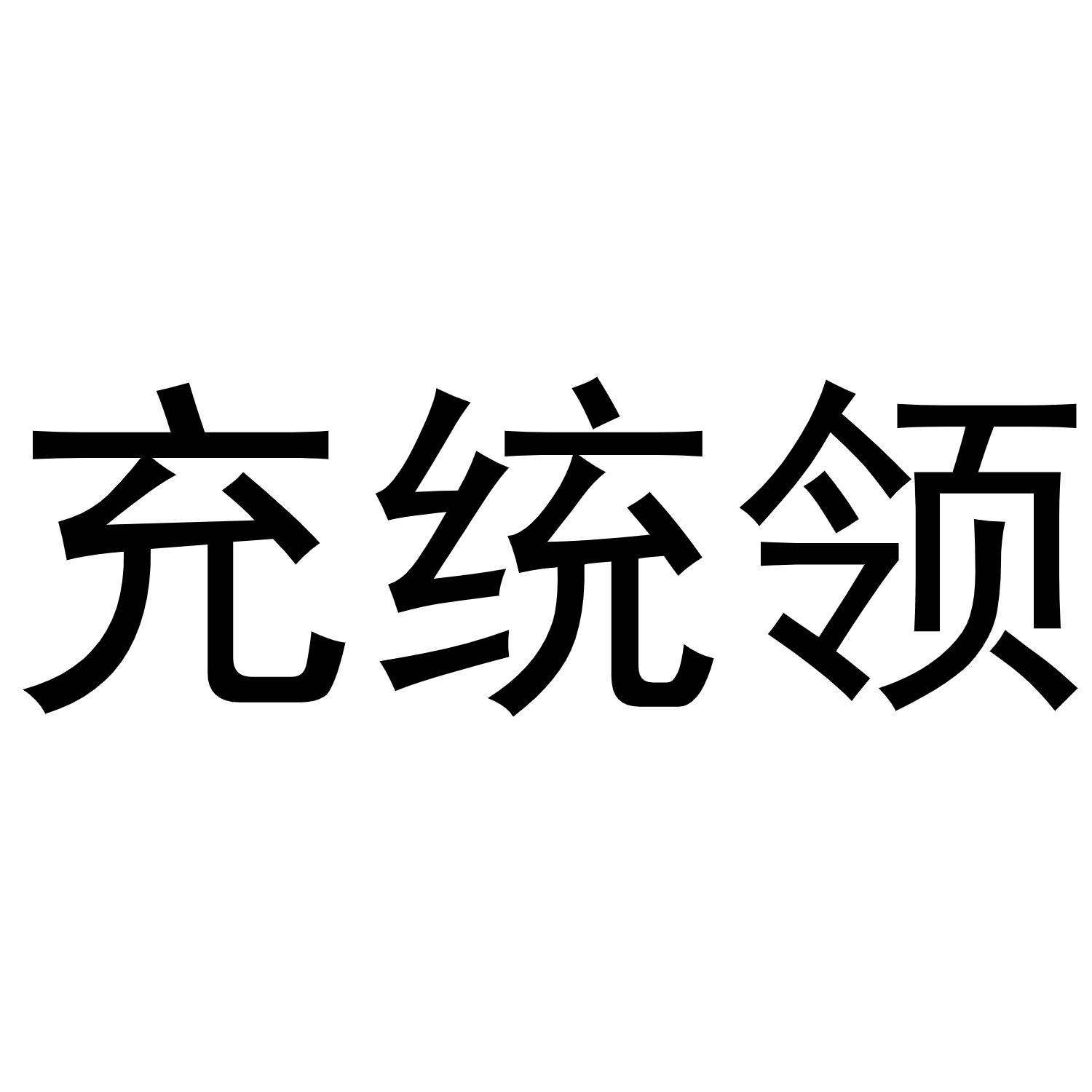 充统领   