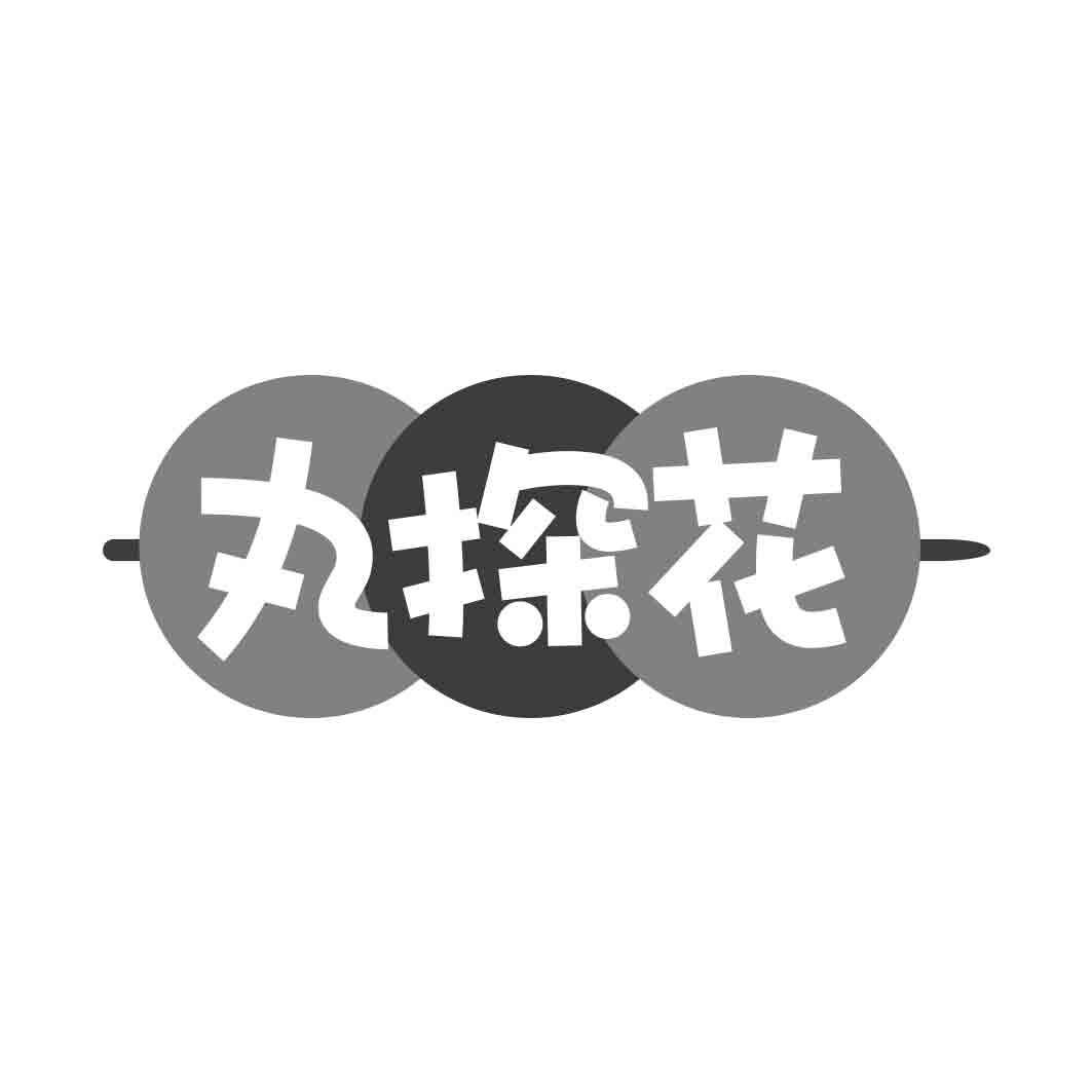 丸探花