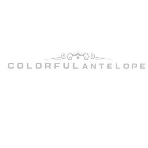 COLORFUL ANTELOPE
