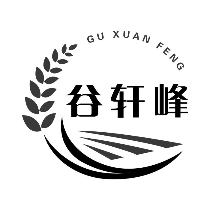 谷轩峰